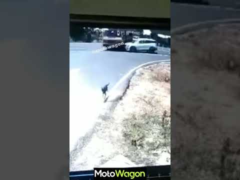 Build Quality of XUV7OO - All Passengers Safe |  #xuv700  #motowagon #5starsafety