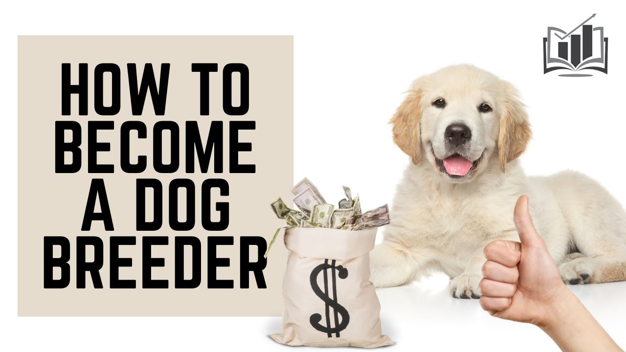 How to Start a Breeding Business: A Comprehensive Guide 2024