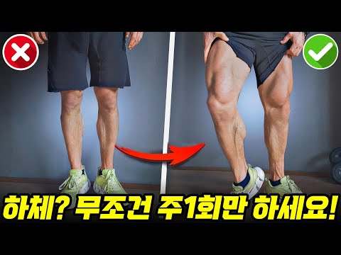 여자들이 극혐하는 '얇은 하체' 벗어나는 방법!? ! #하체운동 #헬스 #헬스루틴