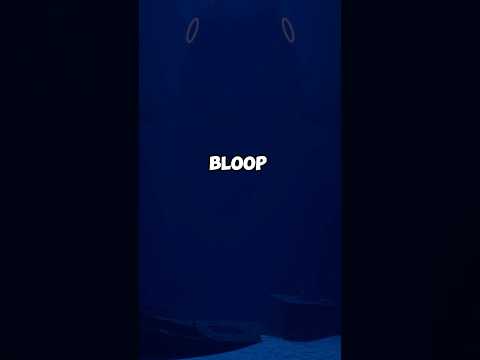 Scariest sound in the ocean