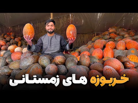 گزارش ویژه از خربوزه های زمستانی نادر ترین میوه در جهان