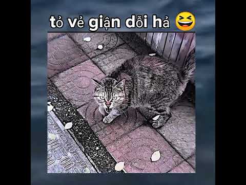 cũng dễ thương đấy 😆