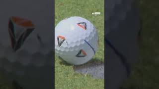 Tommy Fleetwood got a little bit of help at the BMW Championship from a fly 🪰