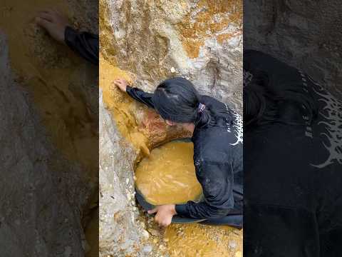 The process of finding gold | finding gold in bedrock fragments | finding gold nuggets worth $2500