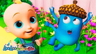 Laba-Laba Ceria Menari di Lagu Anak Viral! 🕷️ | LooLoo Kids Indonesia 🎶