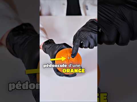 La fin est vraiment utile à savoir ! 🍊 #orange  #science #apprendre #scientifique