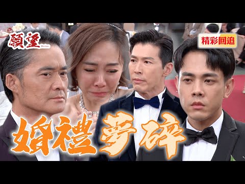 毒婦愛倫婚禮夢碎得到報應！連父親世賢等唾棄女兒｜願望 EP89精華@setdramatw