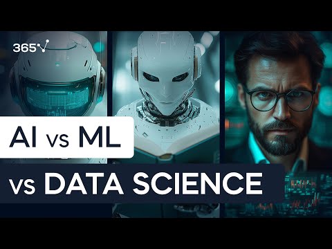 AI vs Machine Learning vs Data Science (What’s the Difference?)