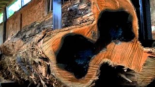 Unexpected Surprise When Sawing Teak Wood Tens of Millions of USD