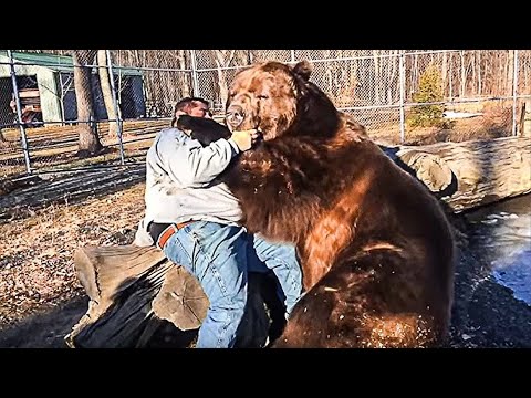 These Animals Don't Forget Their Owners After Years Of Separation !