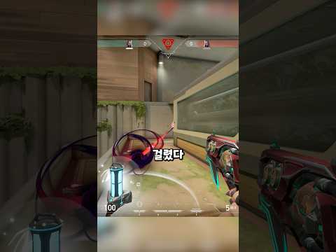 내가 본 건 뭐였을까..?