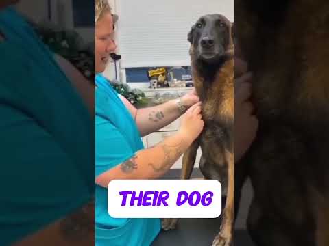 When your dog goes to the vet #dog