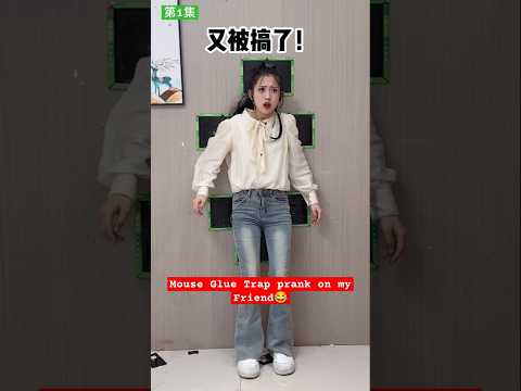 买了几个粘鼠板，先让冰冰试试吧   [第1集]