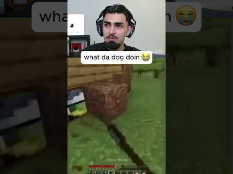 what da dog doin - hxsain