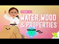 Exploring Properties of Wood and Water