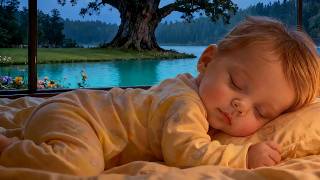 Baby Sleep Music 🌙 Gentle Rain Sounds & Soft Lullabies for Instant Sleep & Sweet Dreams 😴