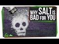 Understanding the Impact of Salt on Health