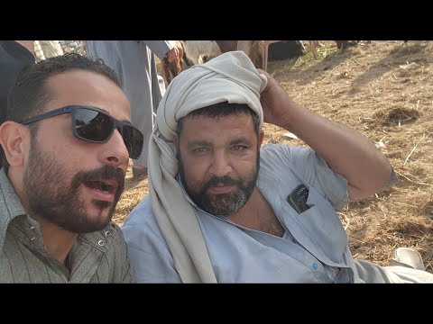 أخطر الأشياء هنا فى السوق الأسعار  بنصف التمن