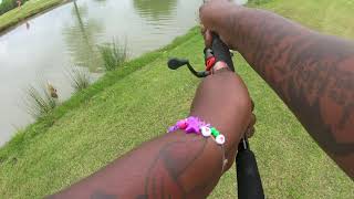 Neko rigs, swimbaits, and top water poppers = (EXCITING SPRING BASS FISHING TRIP!!)