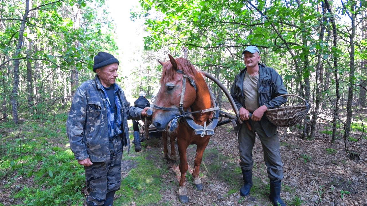 Как живут люди в беларусской глуши. Жизнь в глухой лесной деревне. 356