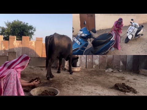 Marwadi vlog no. 50// घी धूध खावना रे तो कदी कदी भेस रा फोटा भी नोकना पड़े सा 🙏😅// गाड़ी रेगी खराब 😏