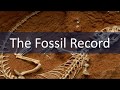 Fossils and Past Environments