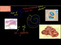 Hearing Mechanisms and Cochlea Function