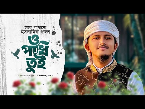 চমক লাগানো নতুন গজল । O Pakhi Tui । ও পাখি তুই উড়াল দিয়া । Tawhid Jamil । Kalarab Gojol 2025