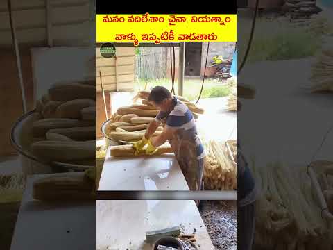 వీళ్ళు ప్రాచీన పద్దతులను ఇంకా వదలలేదు #telugushorts #telugufacts #teluguviral #telugu