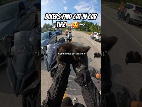 everyone asking for the full vid on tiktok, here it is 😄 #motovlog #cats #bikergirl