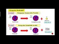 Radioactivity and Its Discoveries