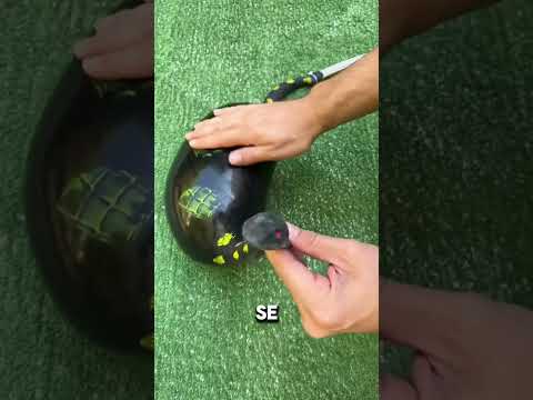 ¡Papá, mataste a mi serpientita! 🐍🤯