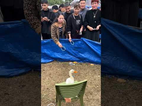 jogo da argola no pato
