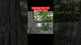 Cypress Bend Park on the Guadalupe River in New Braunfels, Texas
