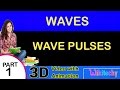 Transverse Waves and Wave Properties