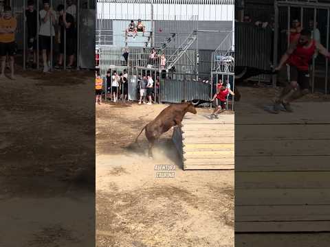 Increíble Salto El De Arriazu En Museros (Vlc) #shorts