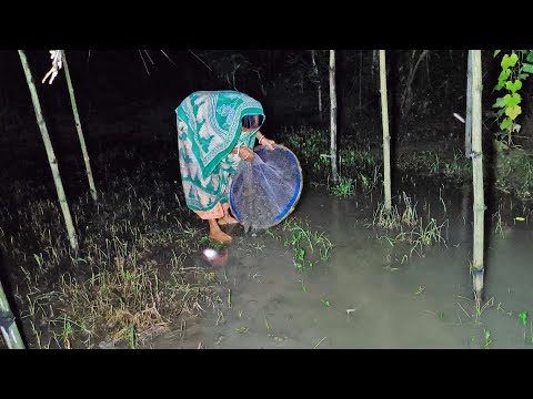রাতে জলের মধ্যে খুঁজে খুঁজে মাছ ধরা I