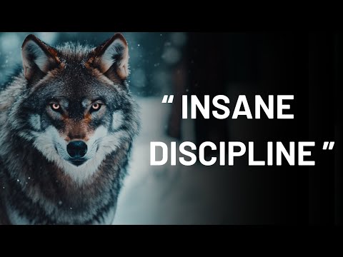 Best Motivational Video To Develop INSANE Discipline (MUST WATCH)