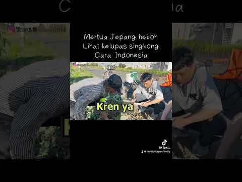 Awalnya Mertua Jepang suruh kupas singkong pake alat、tapi malah heboh lihat kupas cara Indonesia