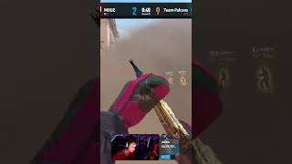 xelex 4k | #esport1tv – #Twitch