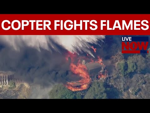 CALIFORNIA FIRES: Palisades fire causes home to burst into flames | LiveNOW from FOX