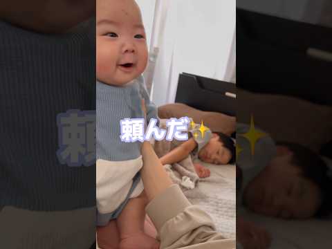 お土産待ちりとちゃん🍼#short#セチュラジオ