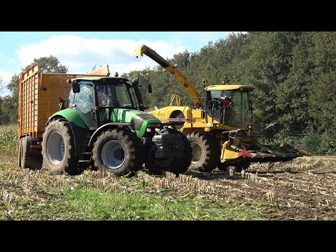 Mais hakselen door Ophoff met New Holland FX38 en 2 Deutz-Fahr Agrotron met Veenhuis wagens (2024)