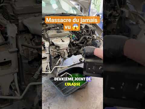 Massacre du jamais vu 😱 Déja la fiabilité peugeot ... mais alors la, dis nous ton avis? #automobile