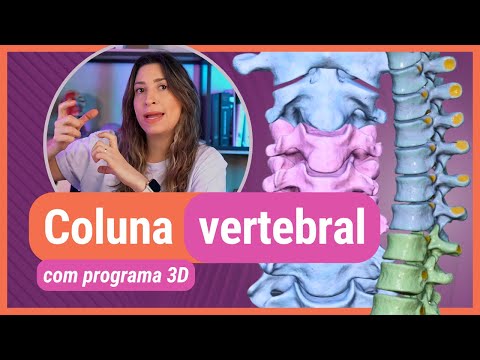 COLUNA VERTEBRAL! Com programa 3D