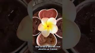 Profitez d'un massage à Vientiane
