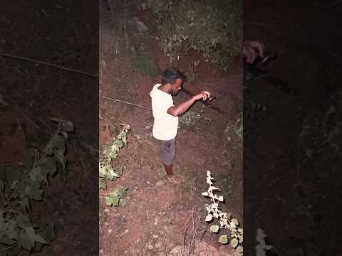 గొర్రె పిల్ల బావిలో పడింది 🥺 #middleclassanil #anil #dailyvlogs #farmer #respectfarmer