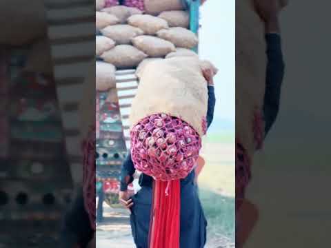#masif #masifbabo #maddayshah #pakpattan #viral #reels #foryou #fby #capcut #fbreel