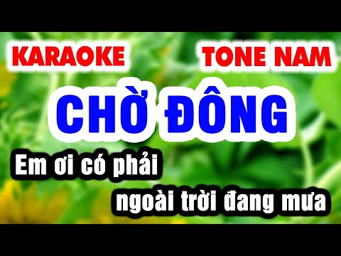 Karaoke Chờ Đông Tone Nam – Em ơi! có phải ngoài trời đang mưa | Nhạc Sống Organ 9669