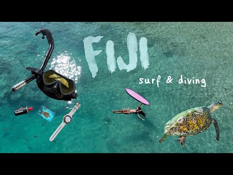 scuba diving & surfing in the same day 🤿🌊